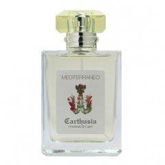 Mediterraneo