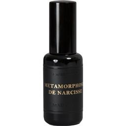 Metamorphose de Narcisse