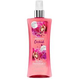 Midnight Orchid