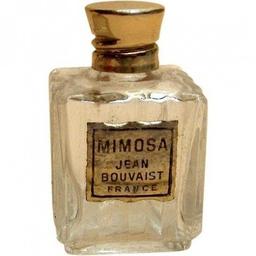 Mimosa