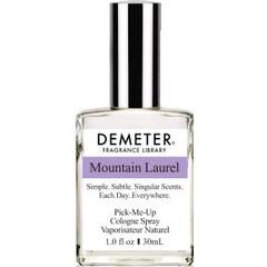 Mountain Laurel