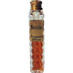 Narcisse