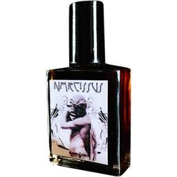 Narcissus