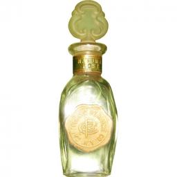 Natoma Rose