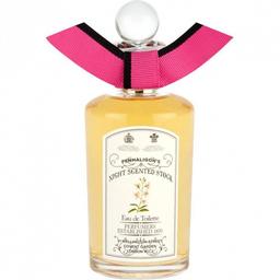 Night Scented Stock
