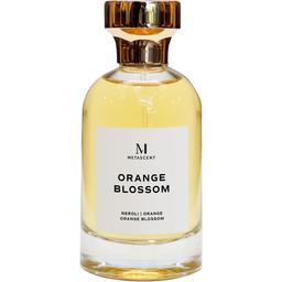 Orange Blossom