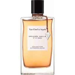 Orchidée Vanille