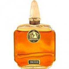 Orchidée
