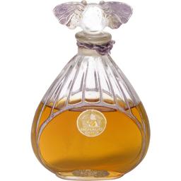 Orchidée