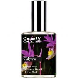 Orchid Collection - Calypso