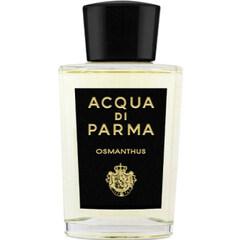 Osmanthus