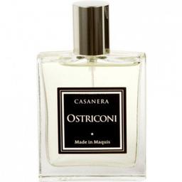 Ostriconi