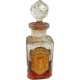 Parfum Mimosa