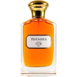 Penumbra