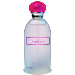 Peonia Rosa
