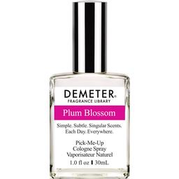 Plum Blossom