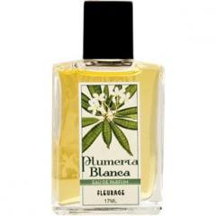 Plumeria Blanca