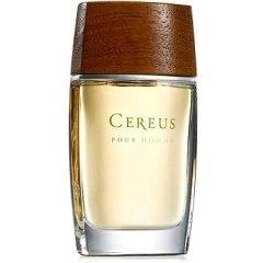 Pour Homme N° 7