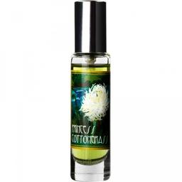 Princess Cottongrass