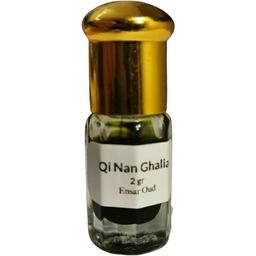 Qi Nan Ghalia