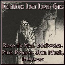 Reuniting Lost Loved Ones