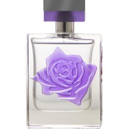 Rose Collection (Violet)