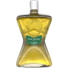 Royal Lavender