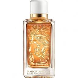 Santal Kardamon