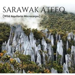 Sarawak Ateeq