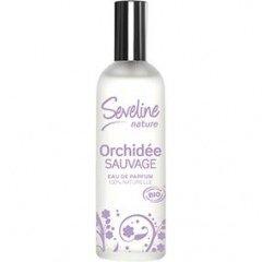 Seveline - Orchidée Sauvage