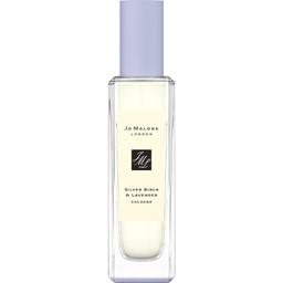 Silver Birch & Lavender
