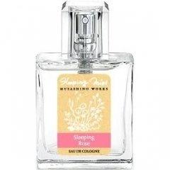 Sleeping Mist - Sleeping Rose