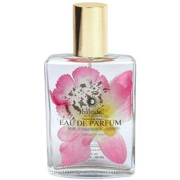 Soliflore - Rose