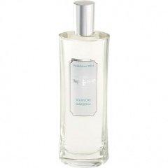 Soliflore Gardenia