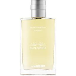 Sun Spirit
