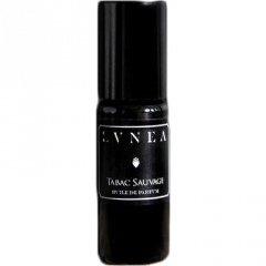 Tabac Sauvage