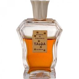 Taiga