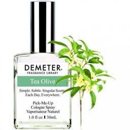 Tea Olive