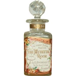 The "Myretta" Rose