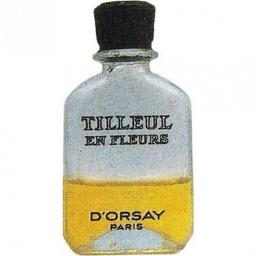 Tilleul en Fleurs