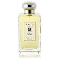 Tuberose