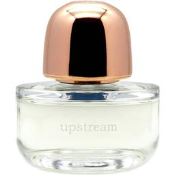 Upstream