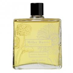 Vétiver Bourbon