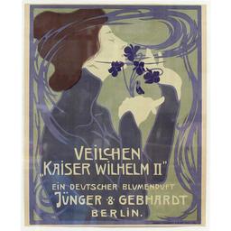 Veilchen ''Kaiser Wilhelm II''