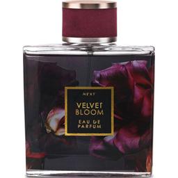 Velvet Bloom