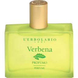 Verbena
