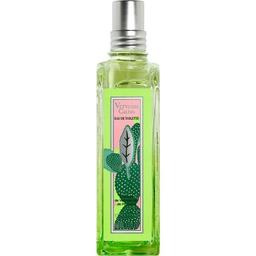 Verveine Cactus