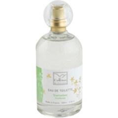 Verveine