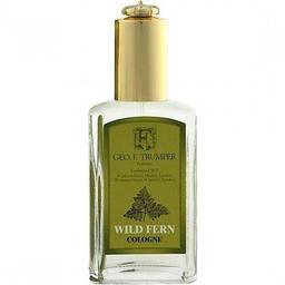 Wild Fern