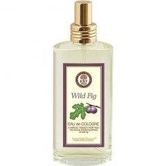 Wild Fig